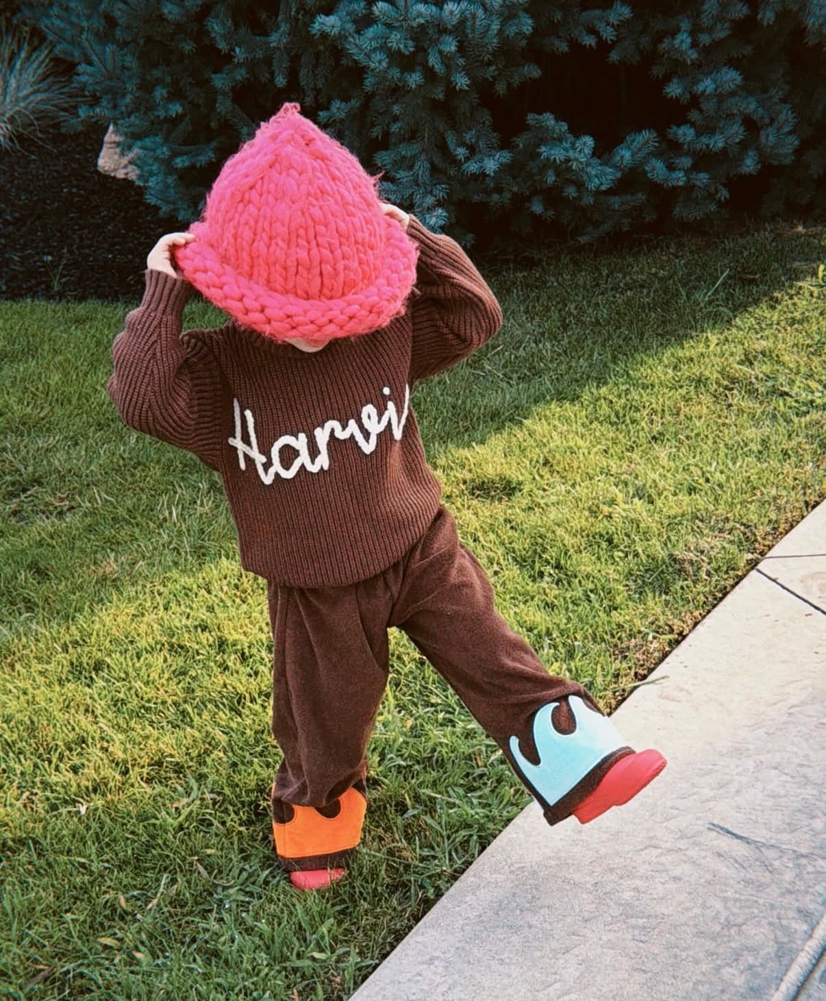 Wave pants Brown